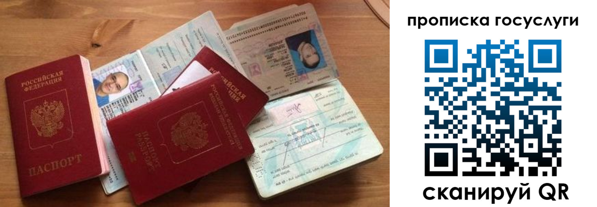 прописка гарантия в Александровске